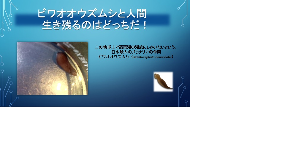 ２０１９年度研究