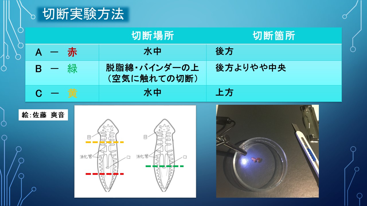 ２０１９年度研究
