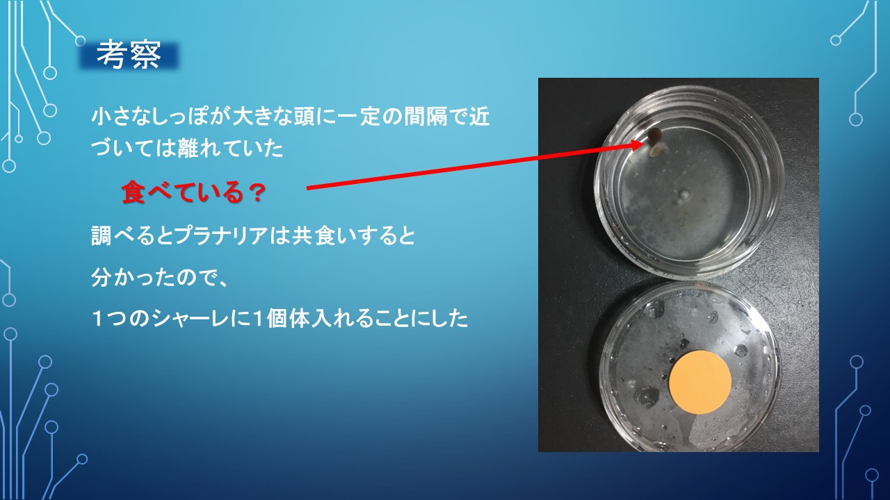 ２０１９年度研究
