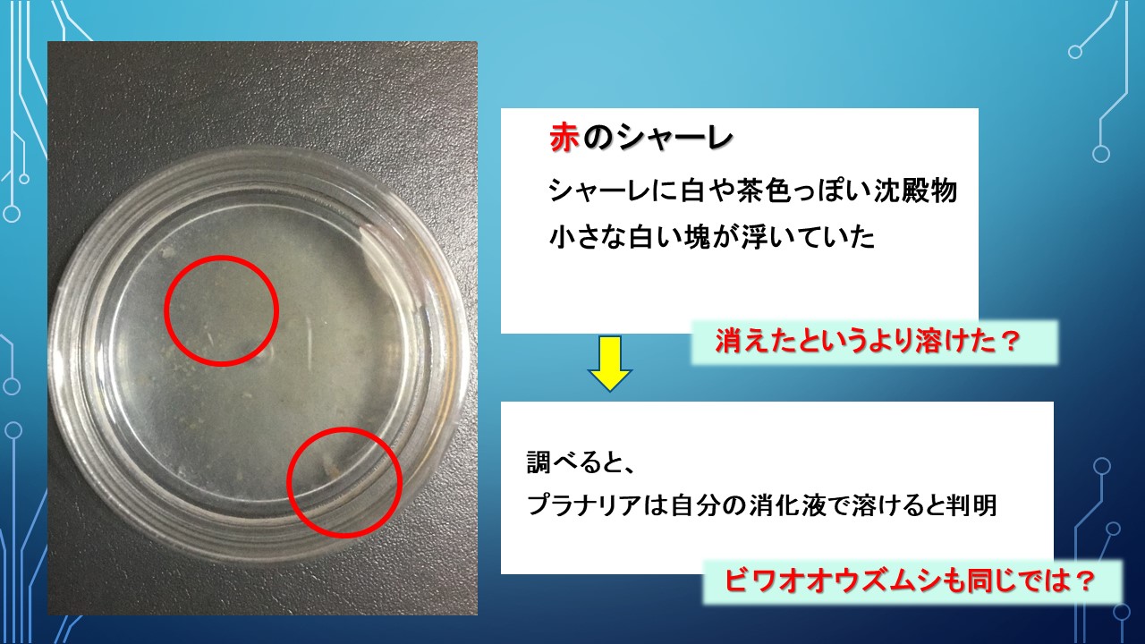 ２０１９年度研究