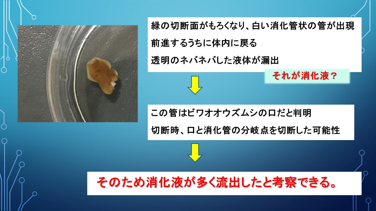 ２０１９年度研究