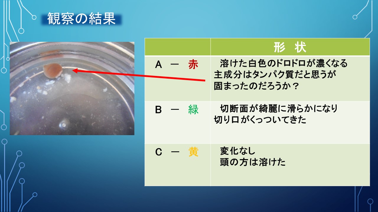 ２０１９年度研究