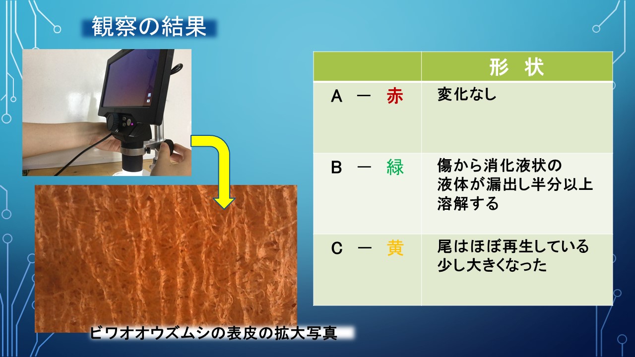 ２０１９年度研究