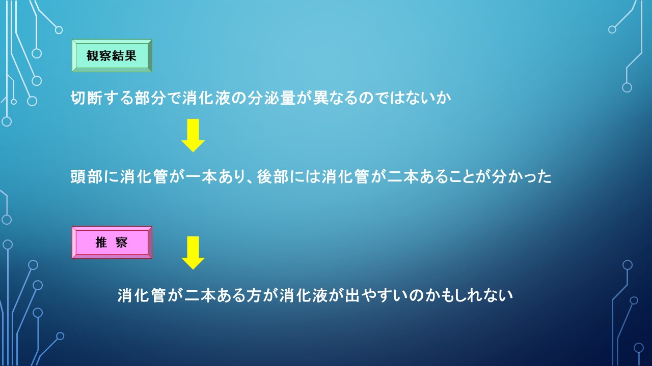 ２０１９年度研究