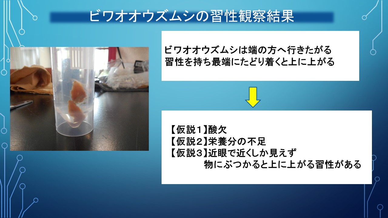 ２０１９年度研究