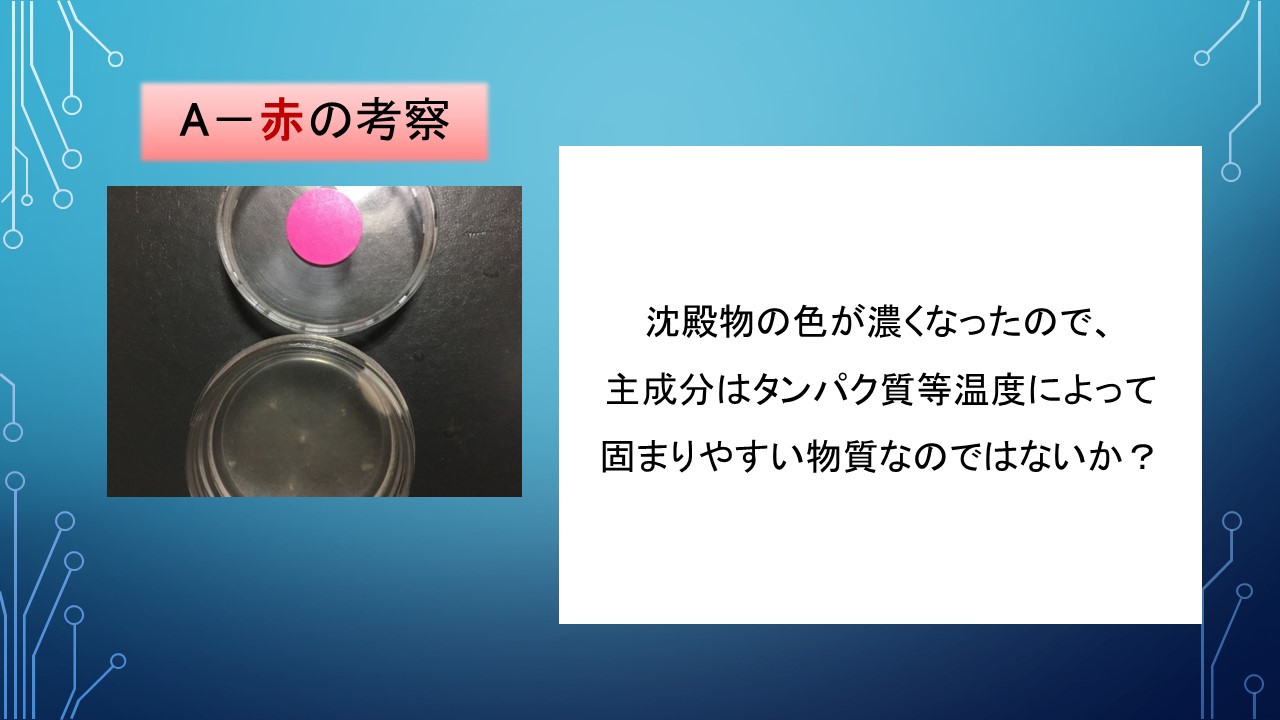 ２０１９年度研究