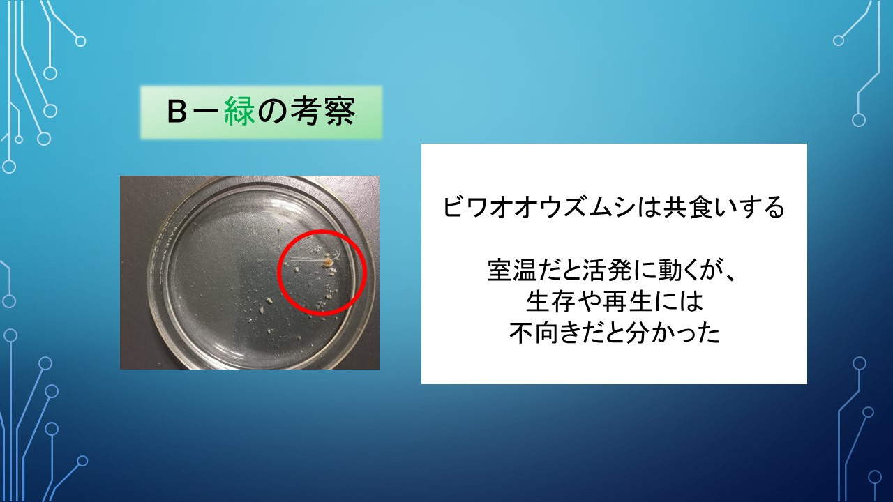 ２０１９年度研究