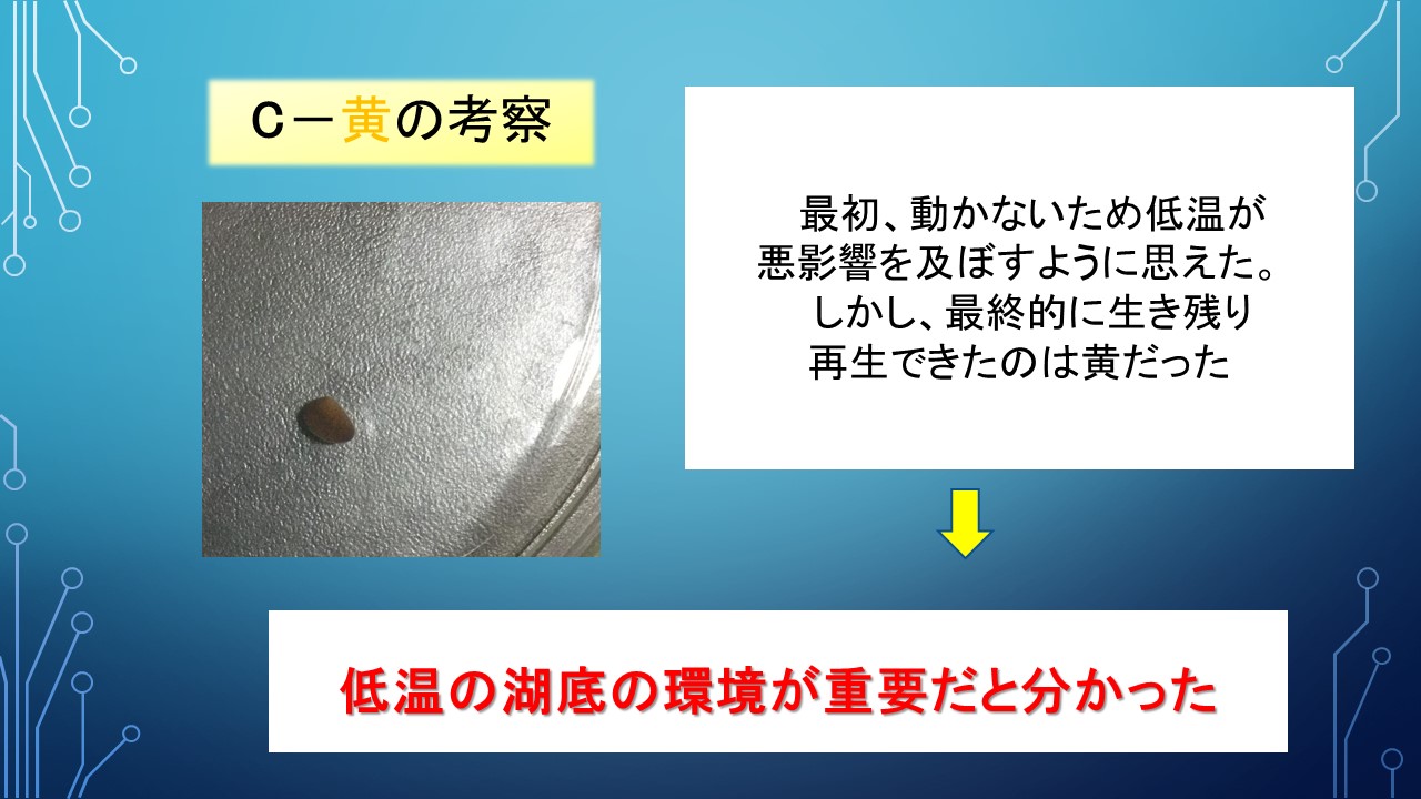 ２０１９年度研究