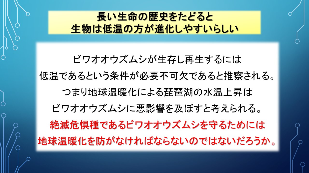 ２０１９年度研究