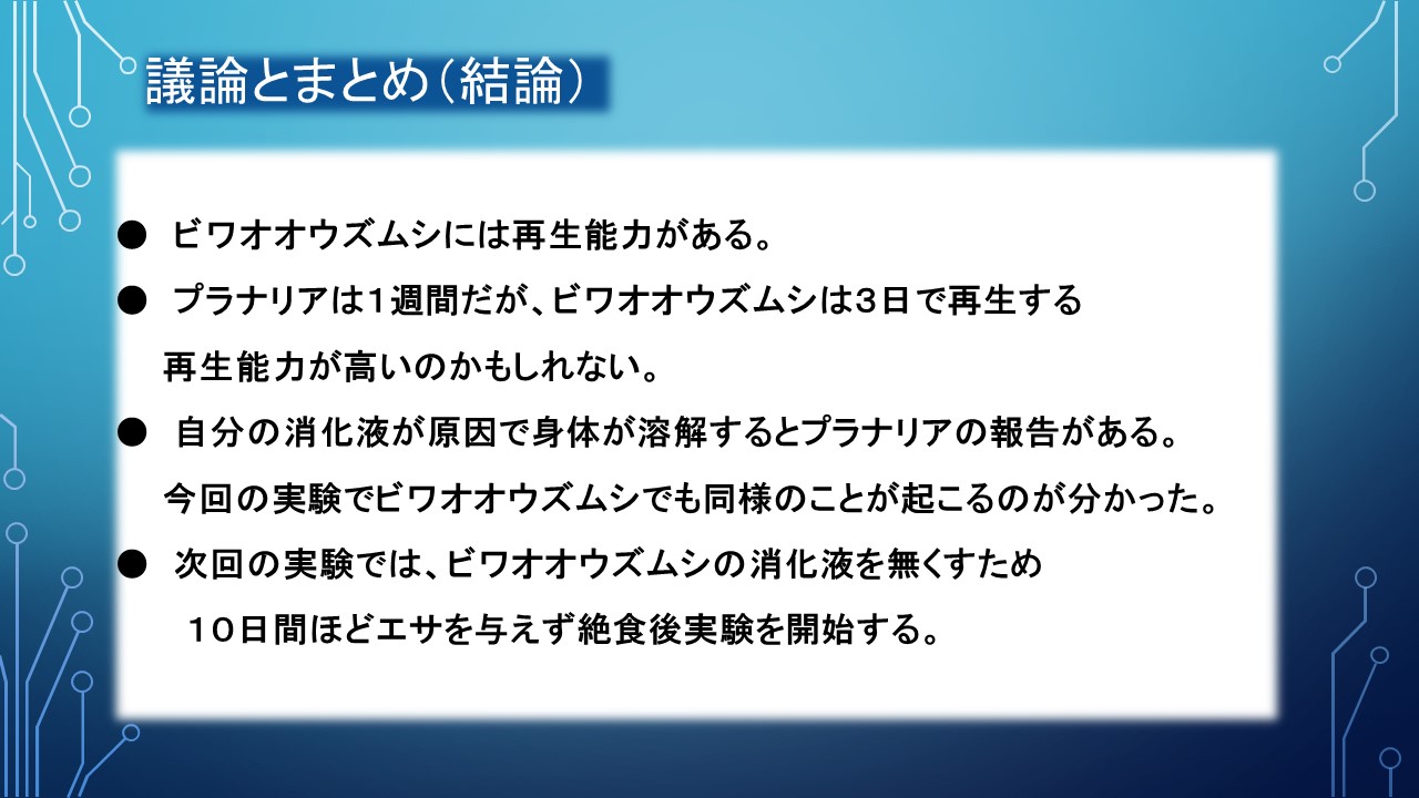 ２０１９年度研究