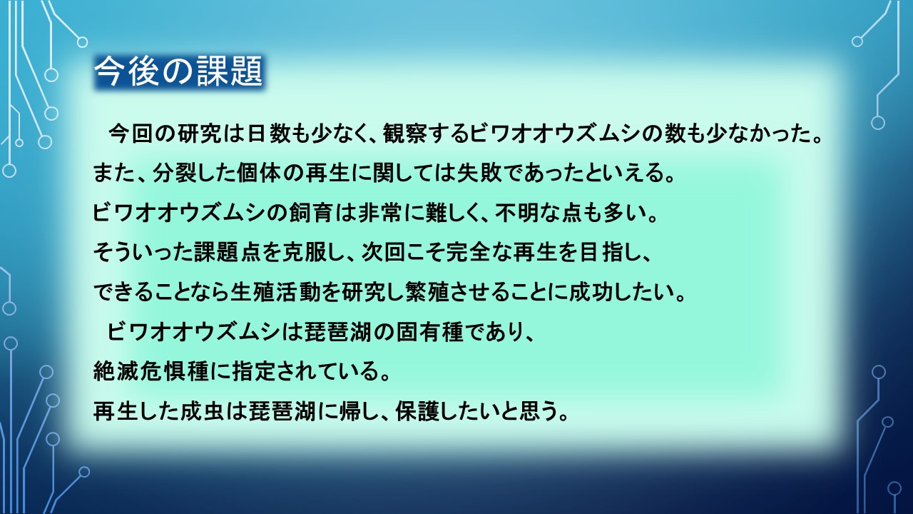 ２０１９年度研究