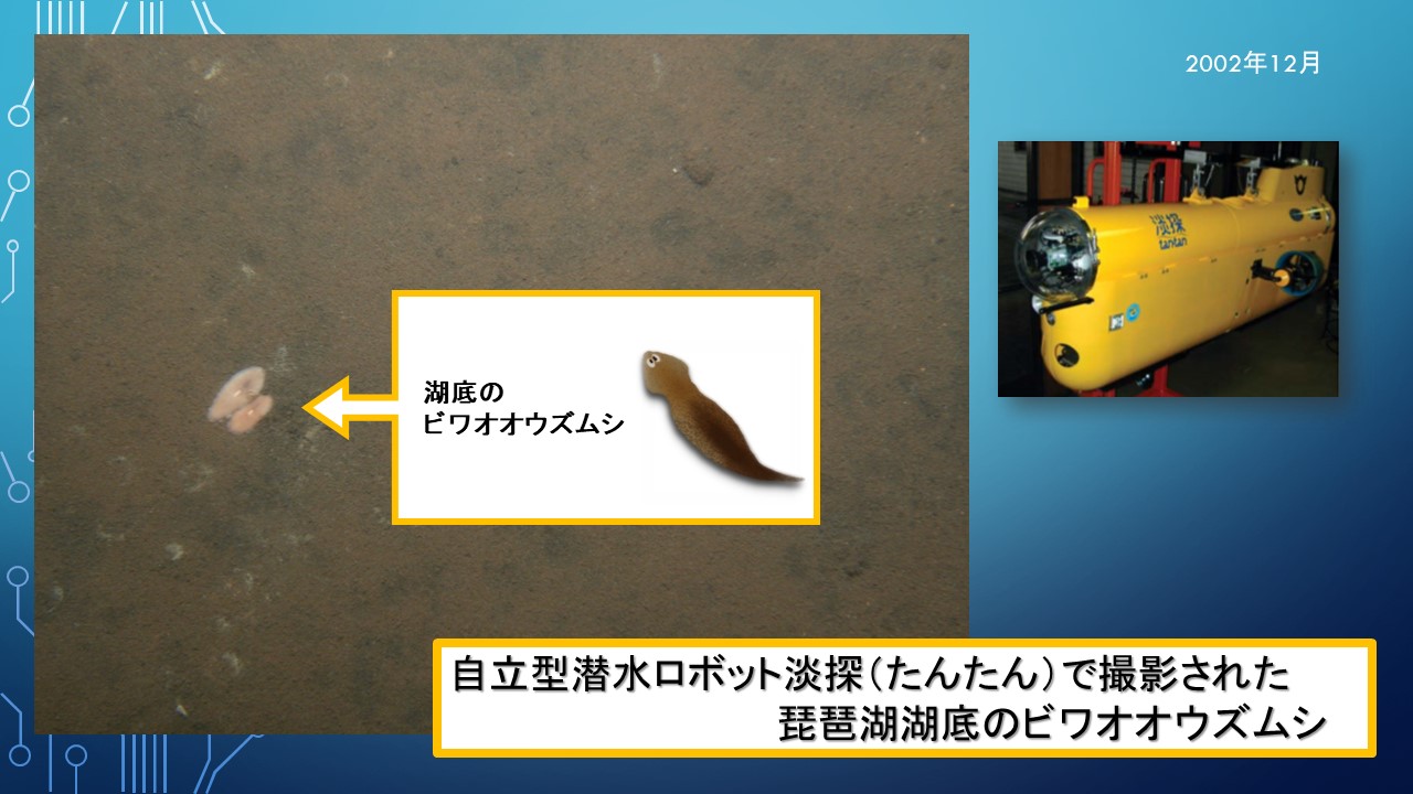 ２０１９年度研究