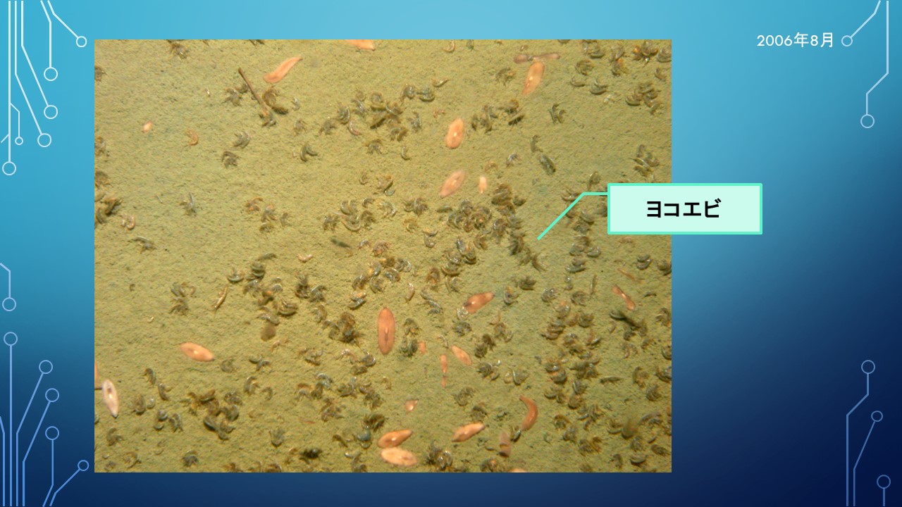 ２０１９年度研究