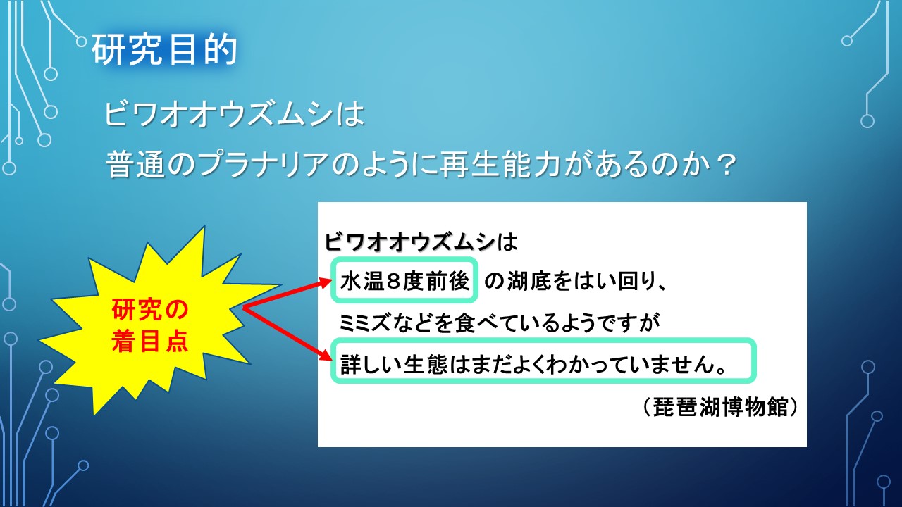 ２０１９年度研究