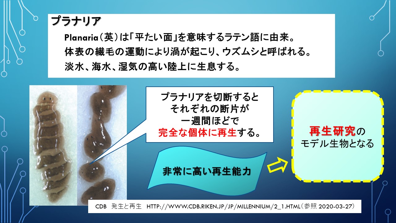 ２０１９年度研究