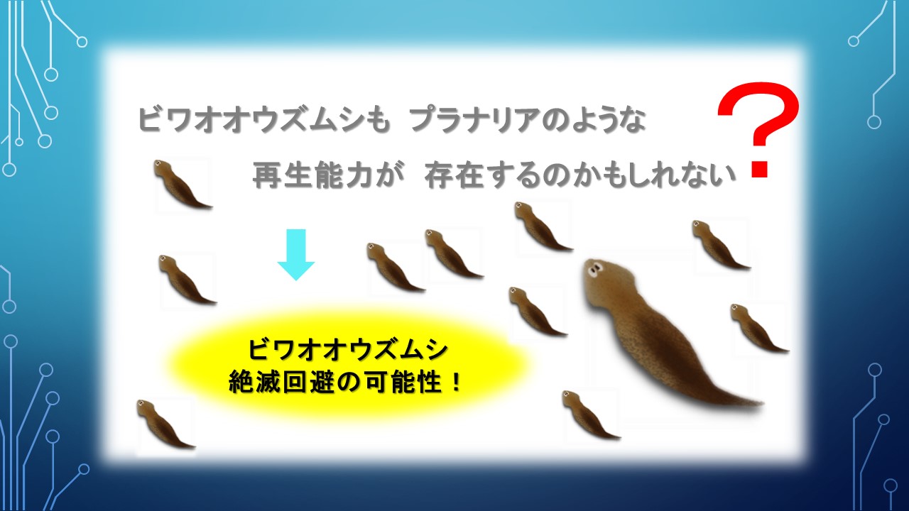 ２０１９年度研究